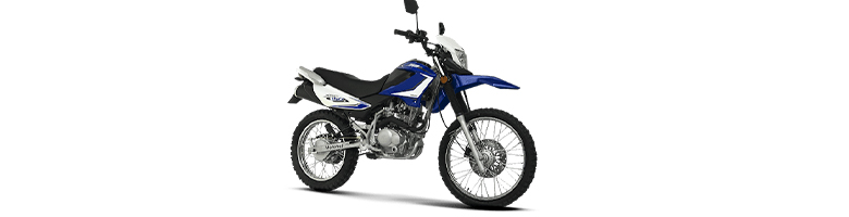 Motomel Skua 150 V6